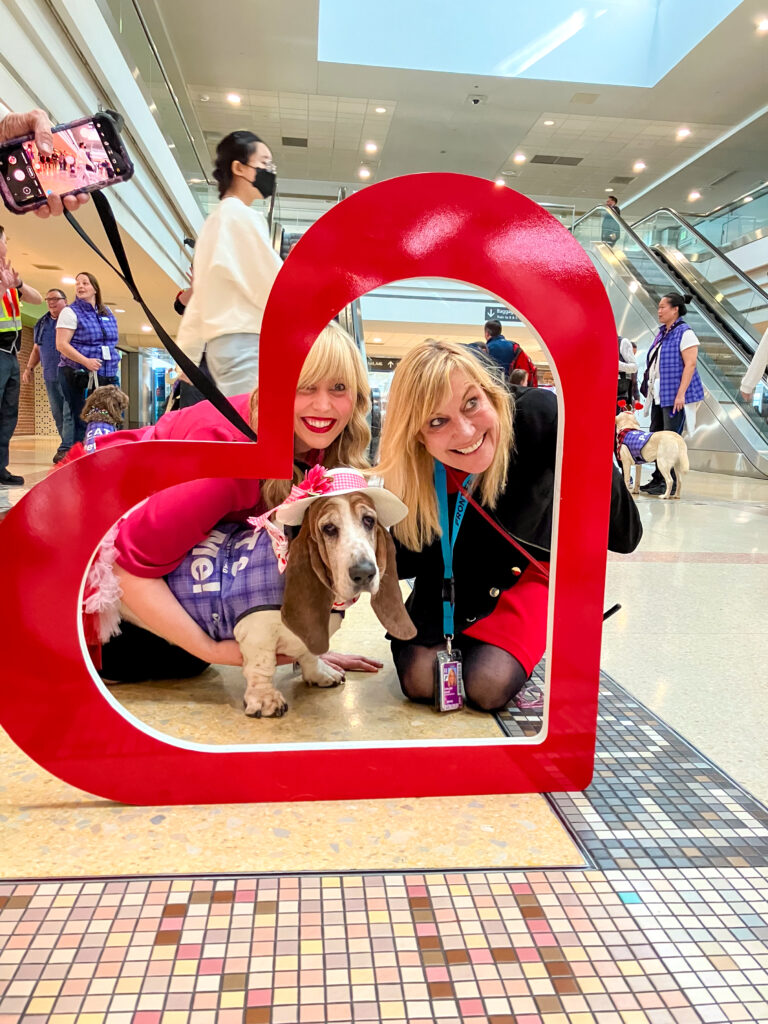 A CATS member helps passengers celebrate Valentines Day
