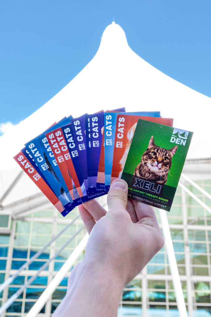 Trading cards of all CATS members are distributed by their owners - collect them all!