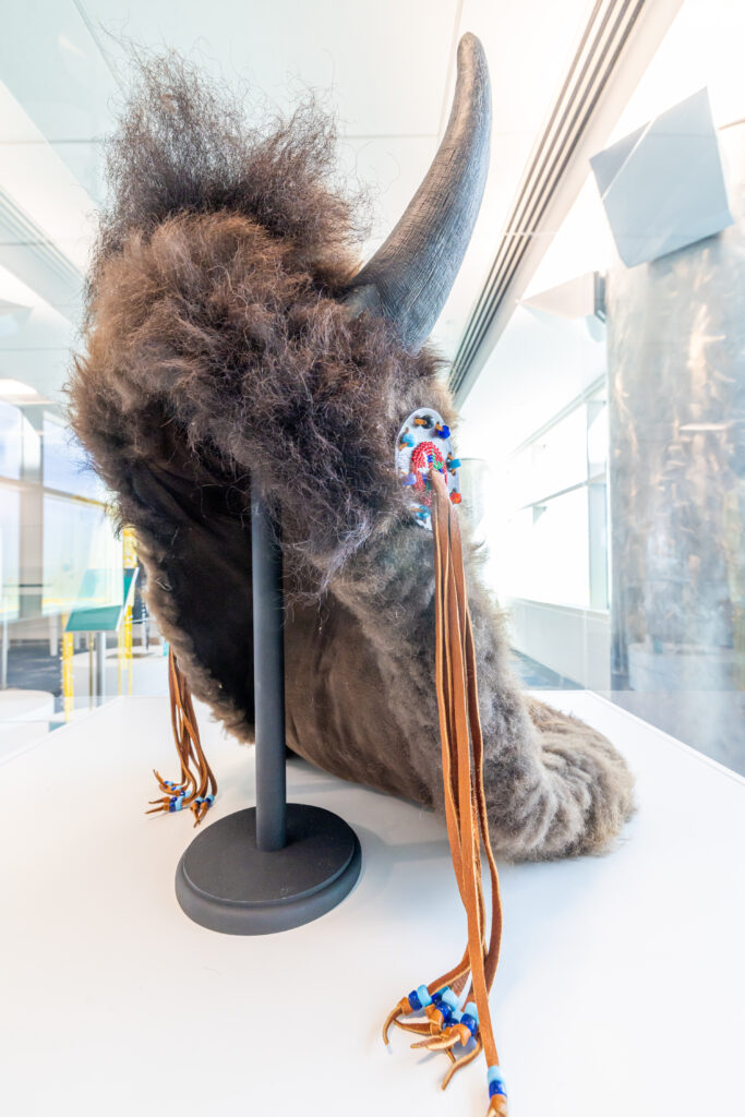 Tatanka (Buffalo) Headdress, 2023 by Sid Whiting